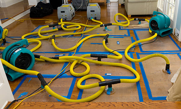 Professional Flood Damage Restoration technician working in Brownsville, IN